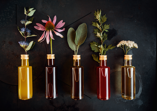 Herbal Magic: Connecting with Nature's Gifts
