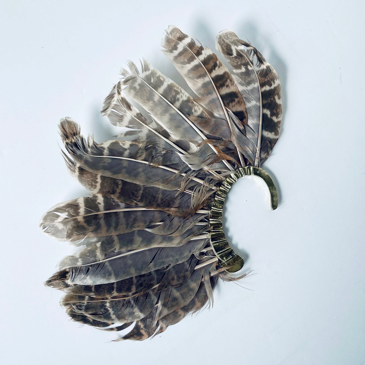 Winged Ear Cuff