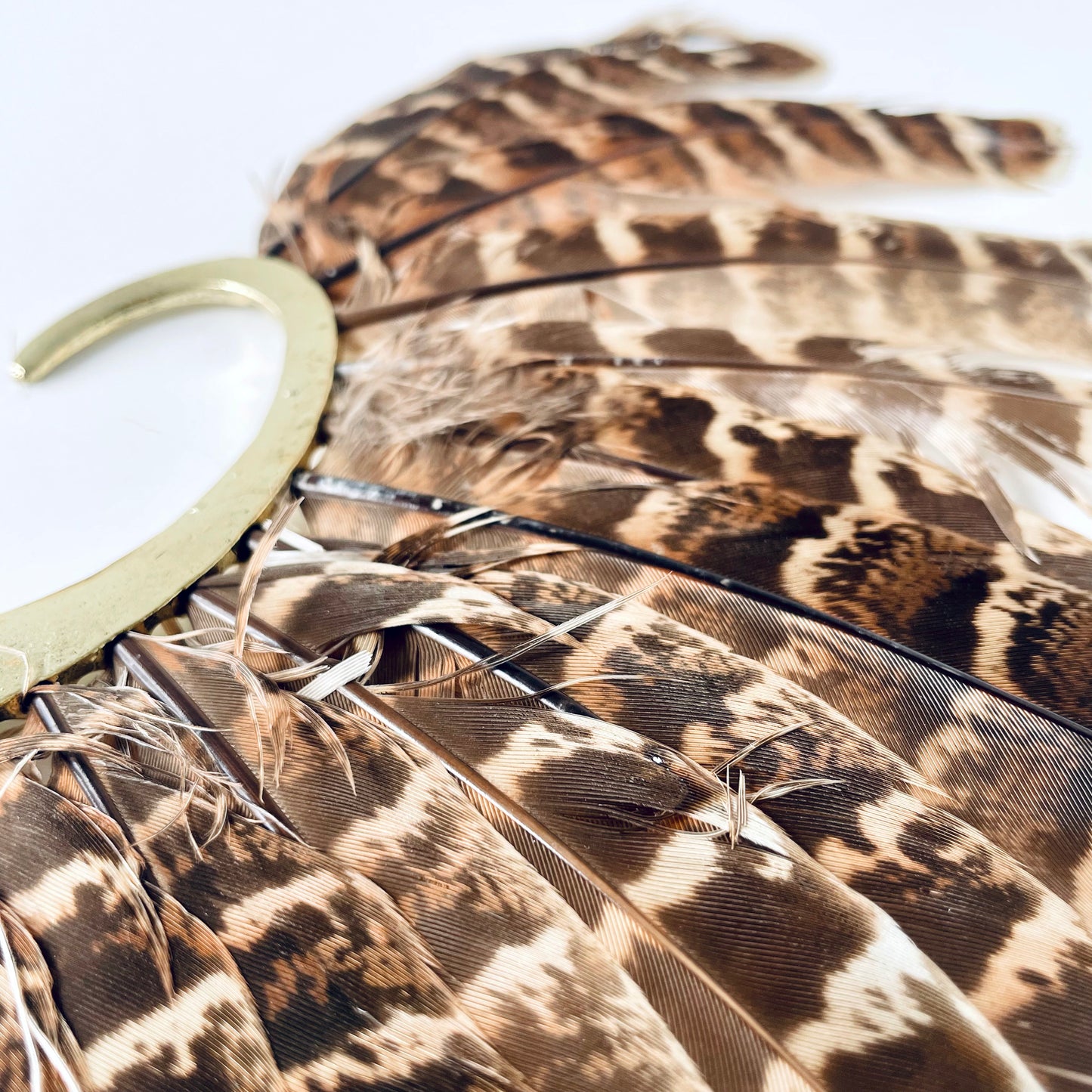 Winged Ear Cuff
