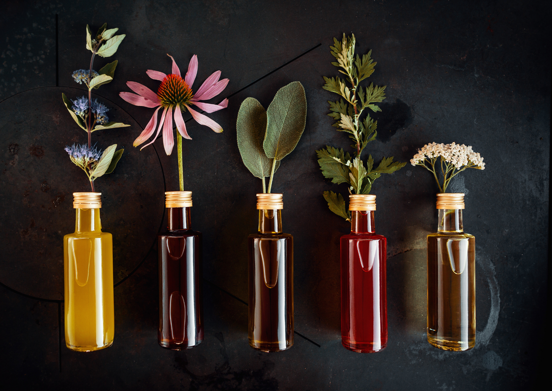 Herbal Magic: Connecting with Nature's Gifts