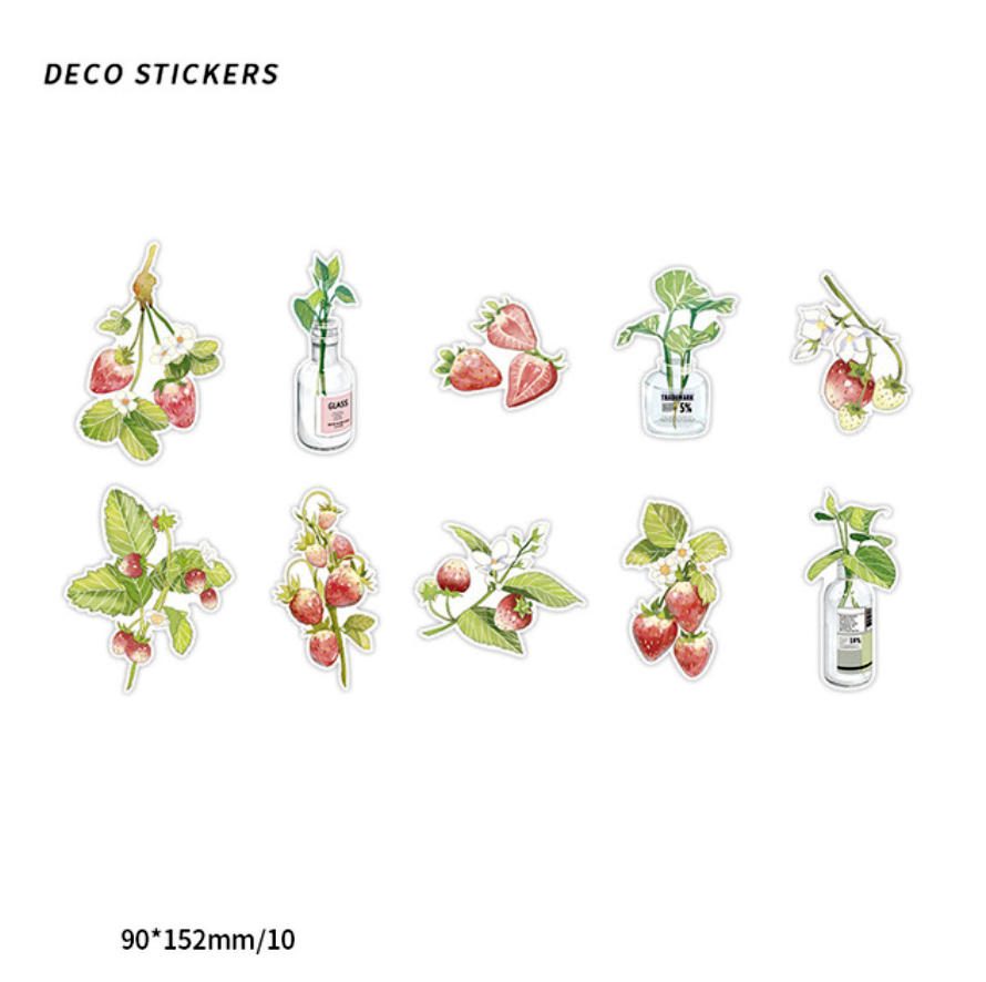Flower and Fruit Journaling Stickers